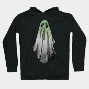 Aromantic Pride Flowery Ghost Hoodie